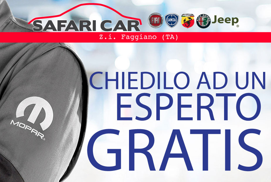 Ricambi originali e accessori auto Fiat, Lancia, Alfa Romeo, Abarth, Jeep,  Abarth, Fiat Professional, Peugeot, Opel, Citroën, DS. a Potenza -  Pessolano Motors