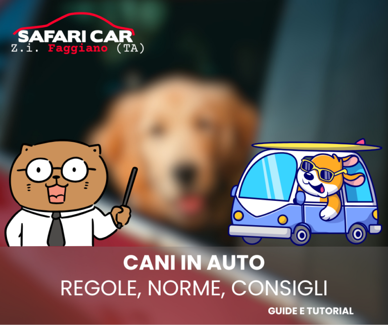 Cani in auto, codice della strada e consigli