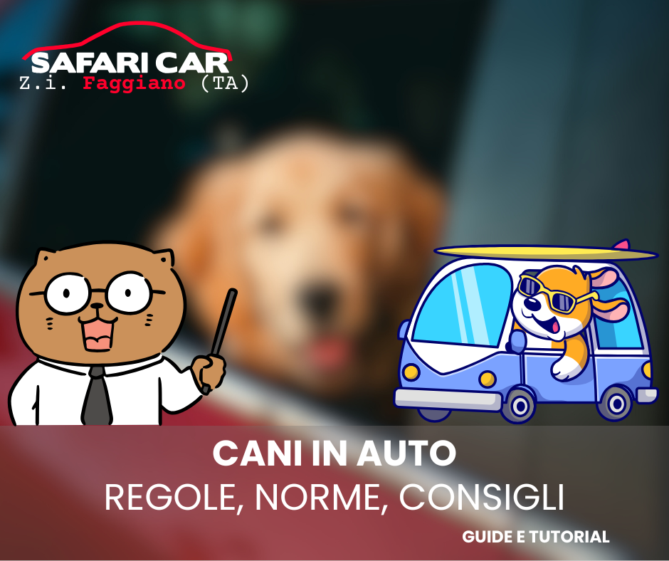 Cani in auto, codice della strada e consigli