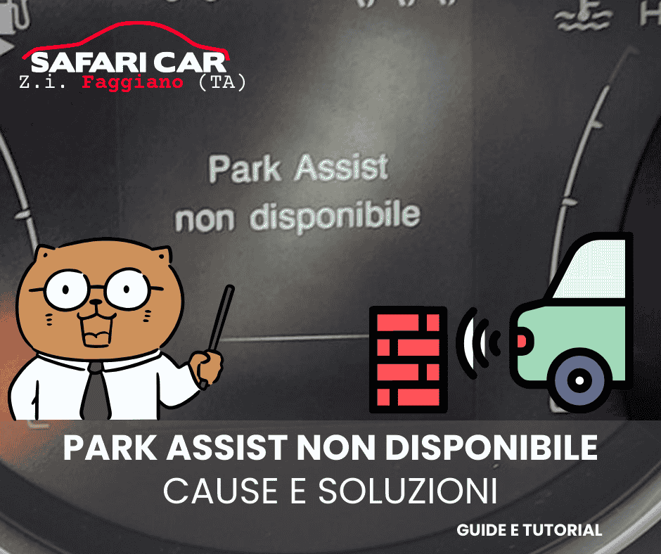 Park assist non disponibile cosa significa